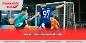 soi kèo bóng đá cho người mới