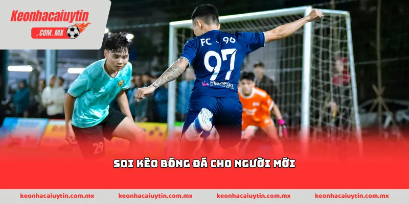 soi kèo bóng đá cho người mới
