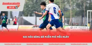 soi kèo bóng đá miễn phí mỗi ngày
